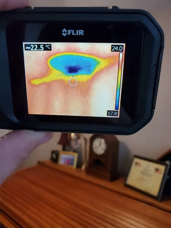 Thermal imaging inspection for water damage in Canton